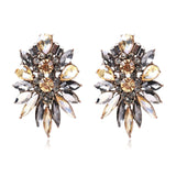 Fashion New Season Earrings